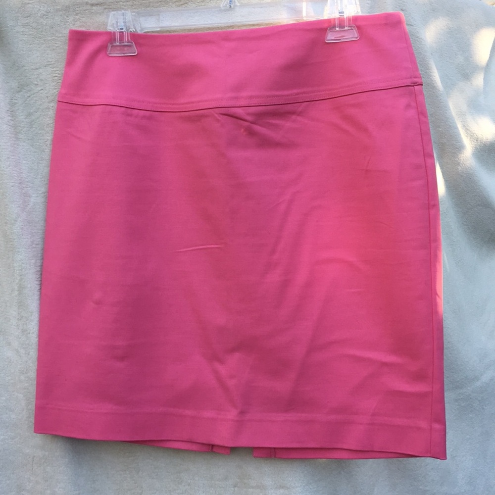 Ellen Tracy skirt